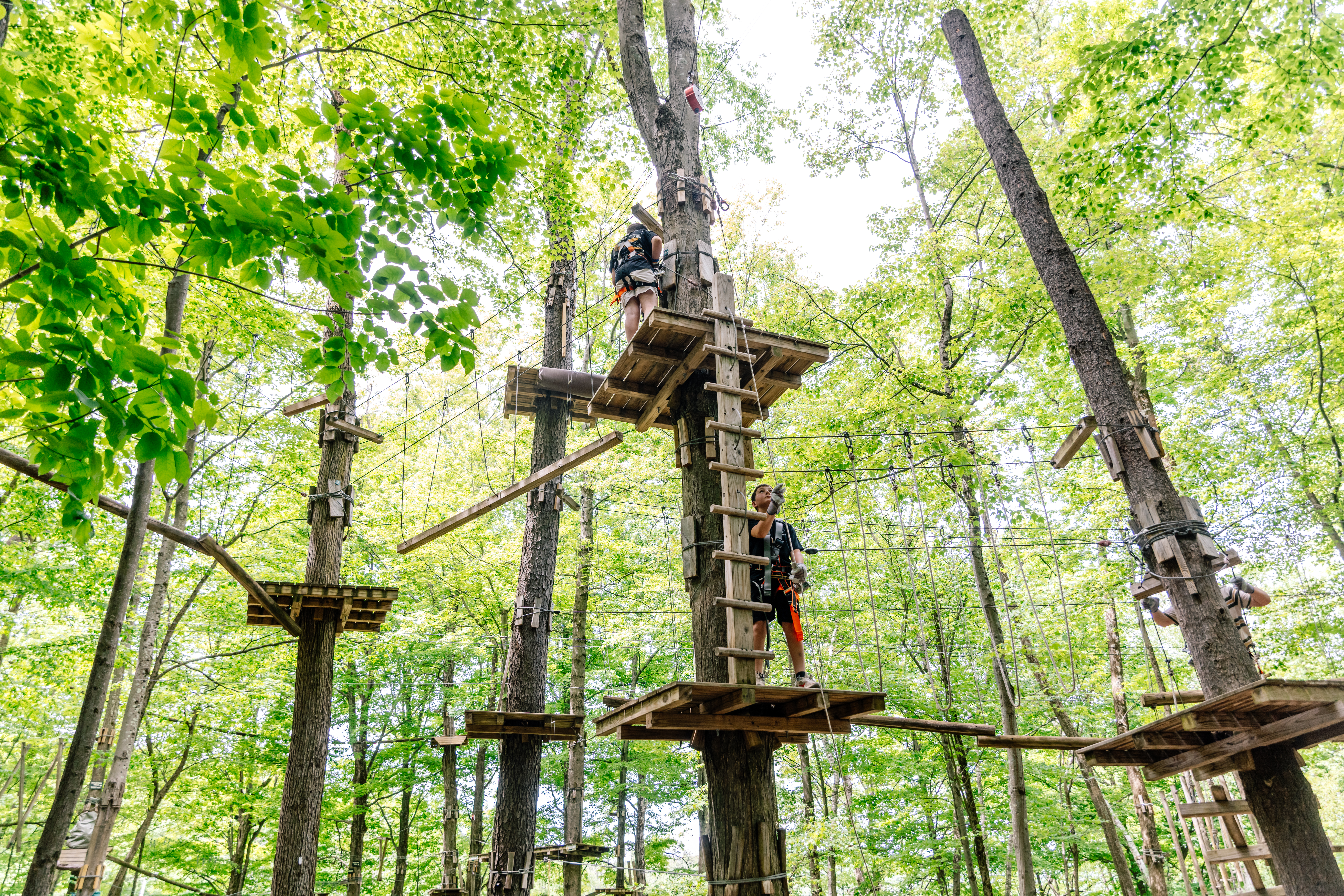 Kids climbing across wooden bridge in the aerial adventure park