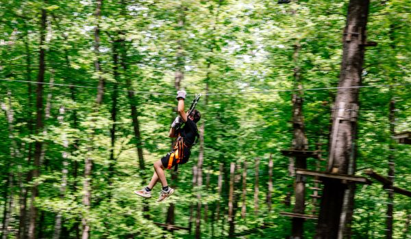 A boy zip-lining on a course at the Catamount Aerial Adventure Park